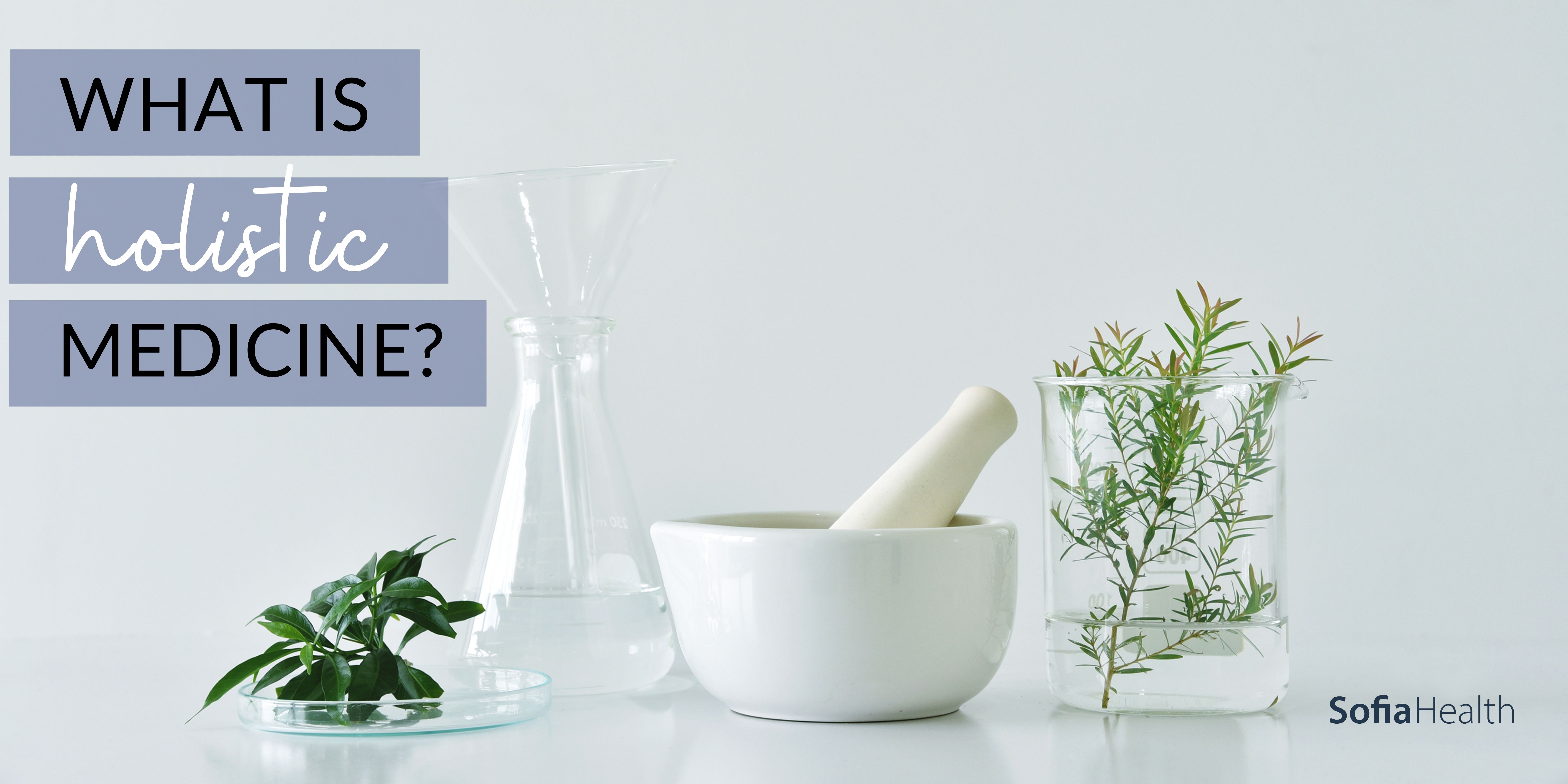 What is Holistic Medicine?